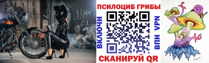 как найти закладки  Карпинск  Псилоцибиновые грибы Psilocybine cubensis 