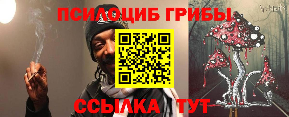 Галлюциногенные грибы Карпинск