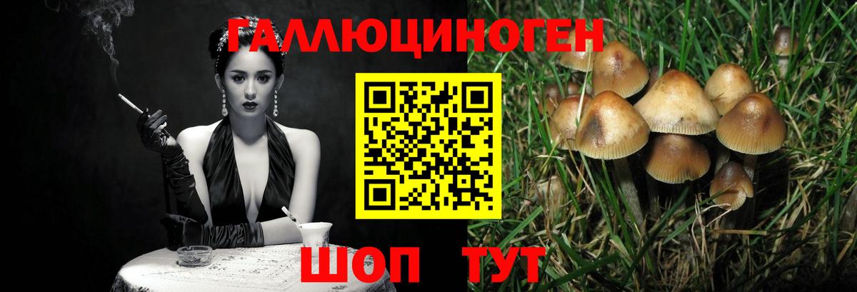 Карпинск  Галлюциногенные грибы Magic Shrooms  Вход с VPN  где купить наркоту  Псилоцибиновые грибы GOLDEN TEACHER 