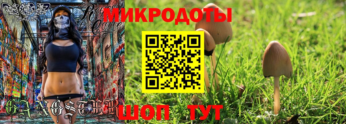 Псилоцибиновые грибы Cubensis Карпинск